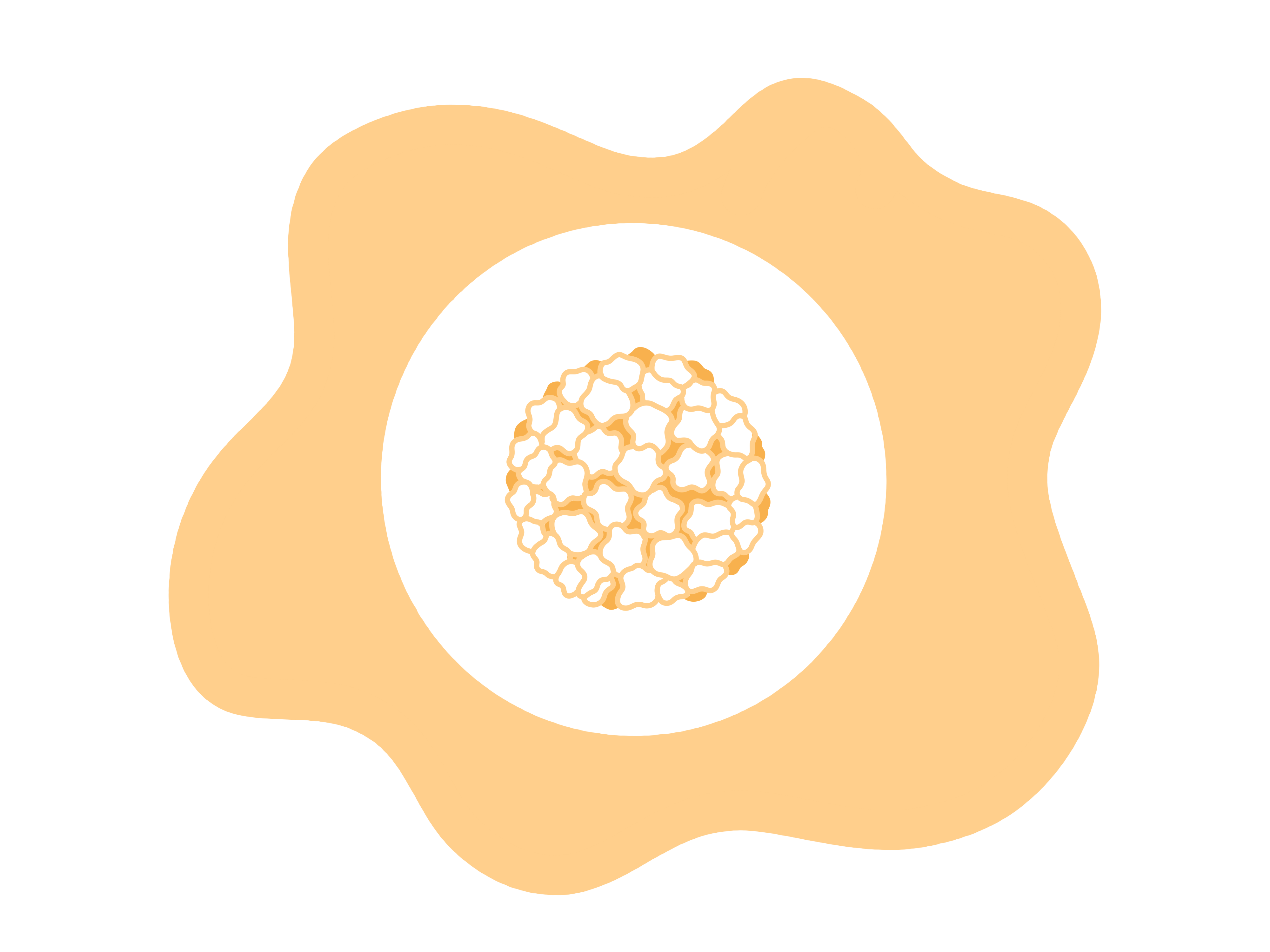 HPV (Genital Warts)