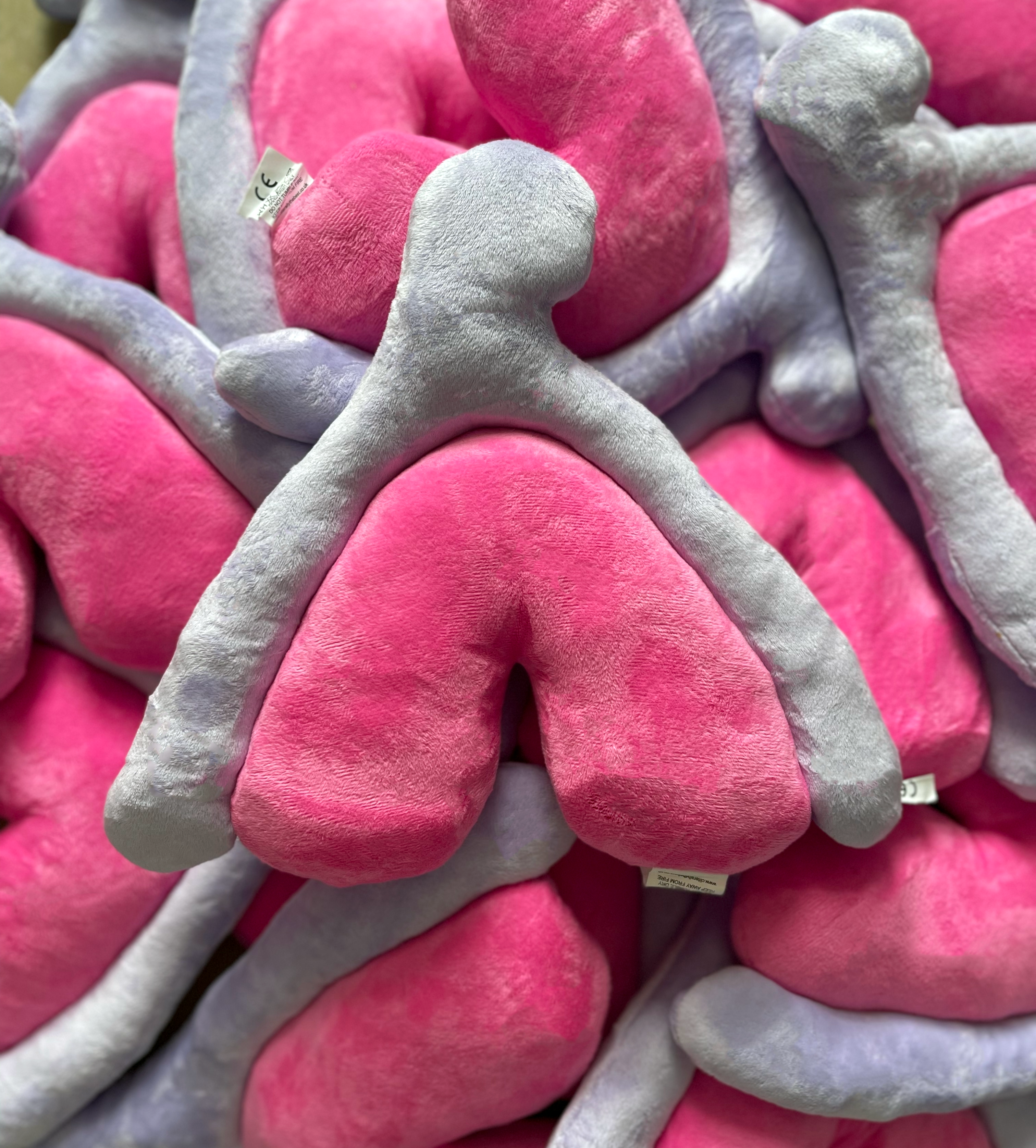The Clitoris Cushion (Plushie)