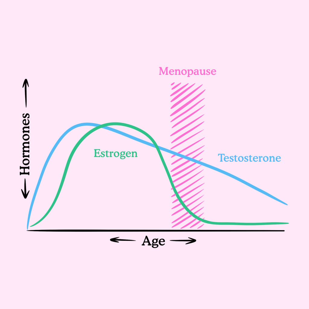 Sex and Intimacy During Menopause: What Changes and What Helps