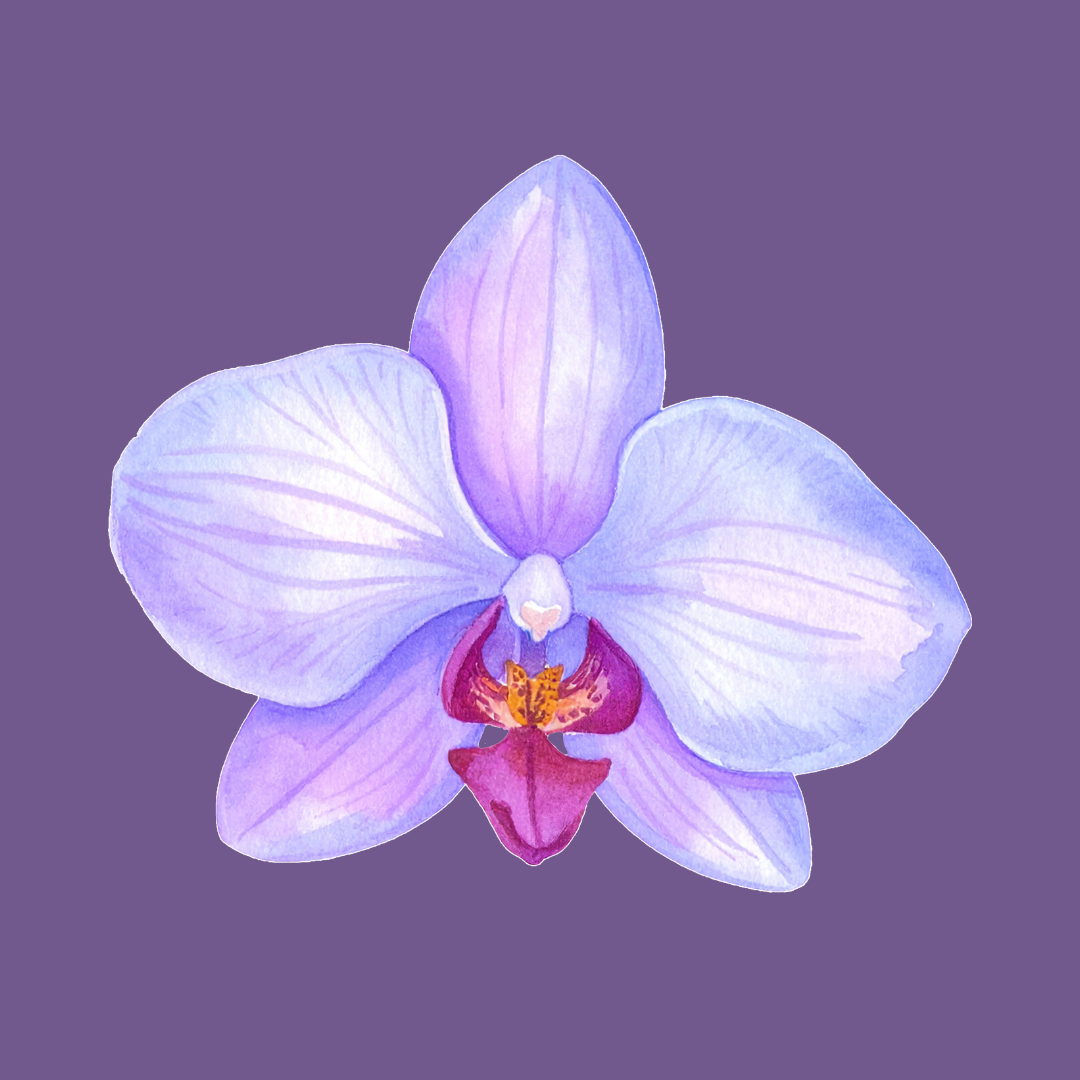 What is FGM/C? Your questions answered with Orchid Project