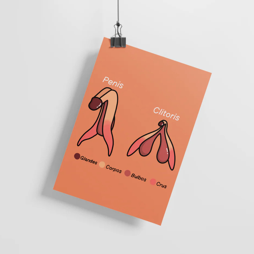 Penis & Clitoris Sex Positive Diagram Print