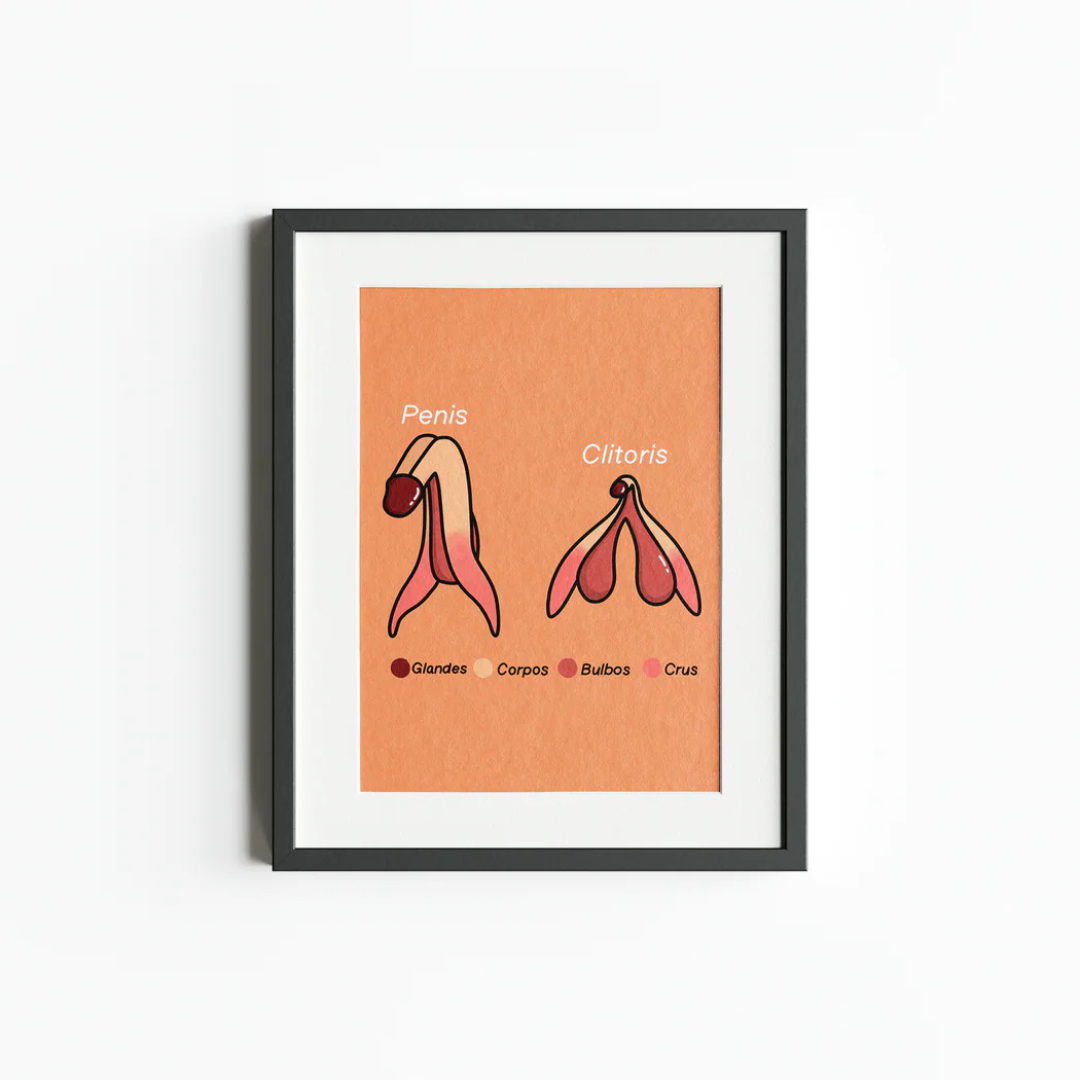 Penis & Clitoris Sex Positive Diagram Print