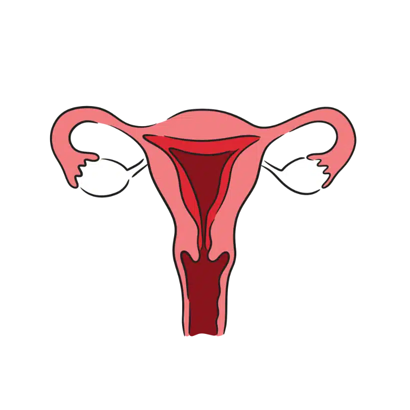 Gynae Health