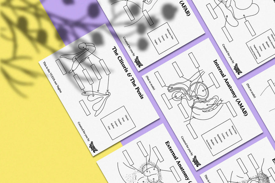 sex ed inclusive anatomy worksheets cliterally the best