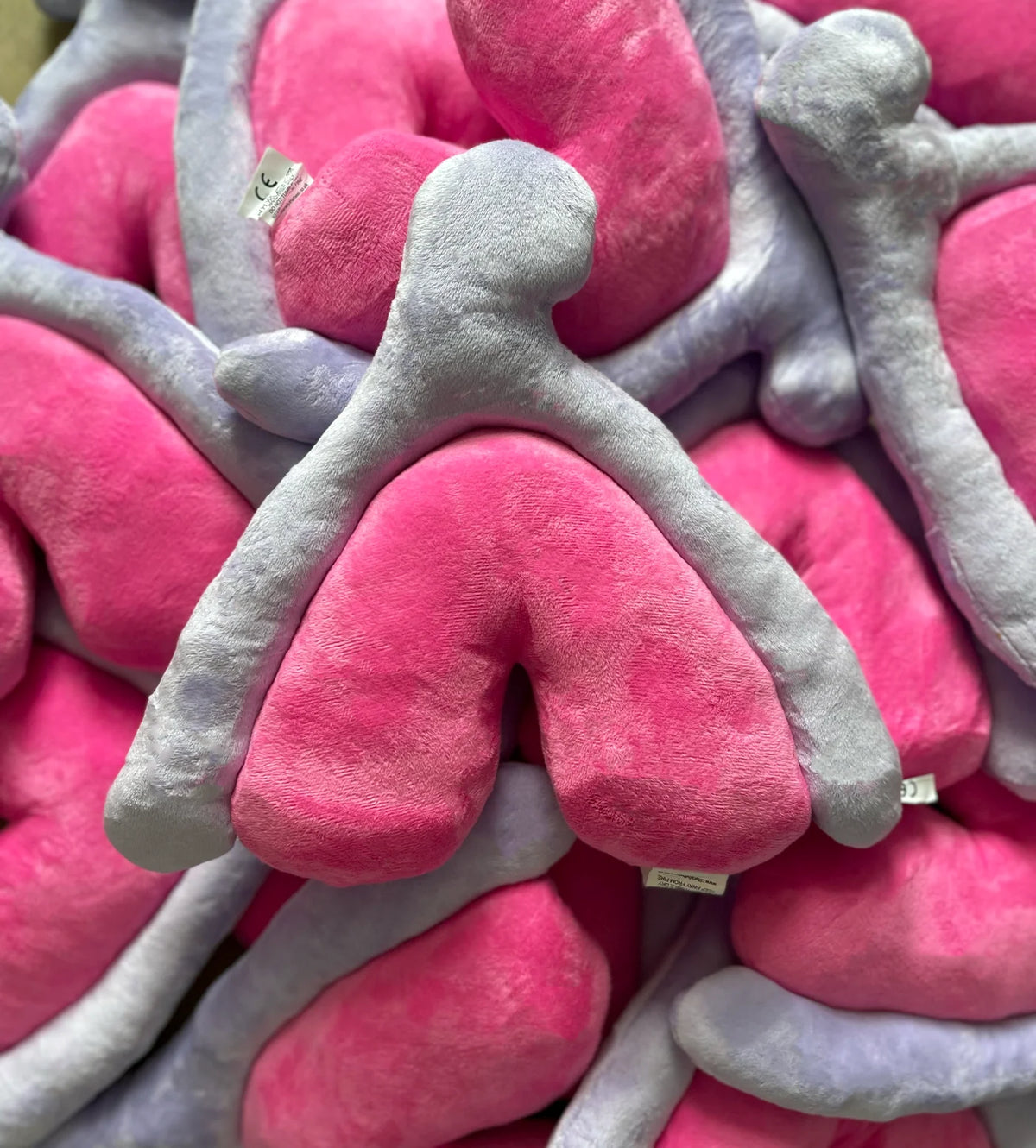 The Clitoris Cushion (plushie)