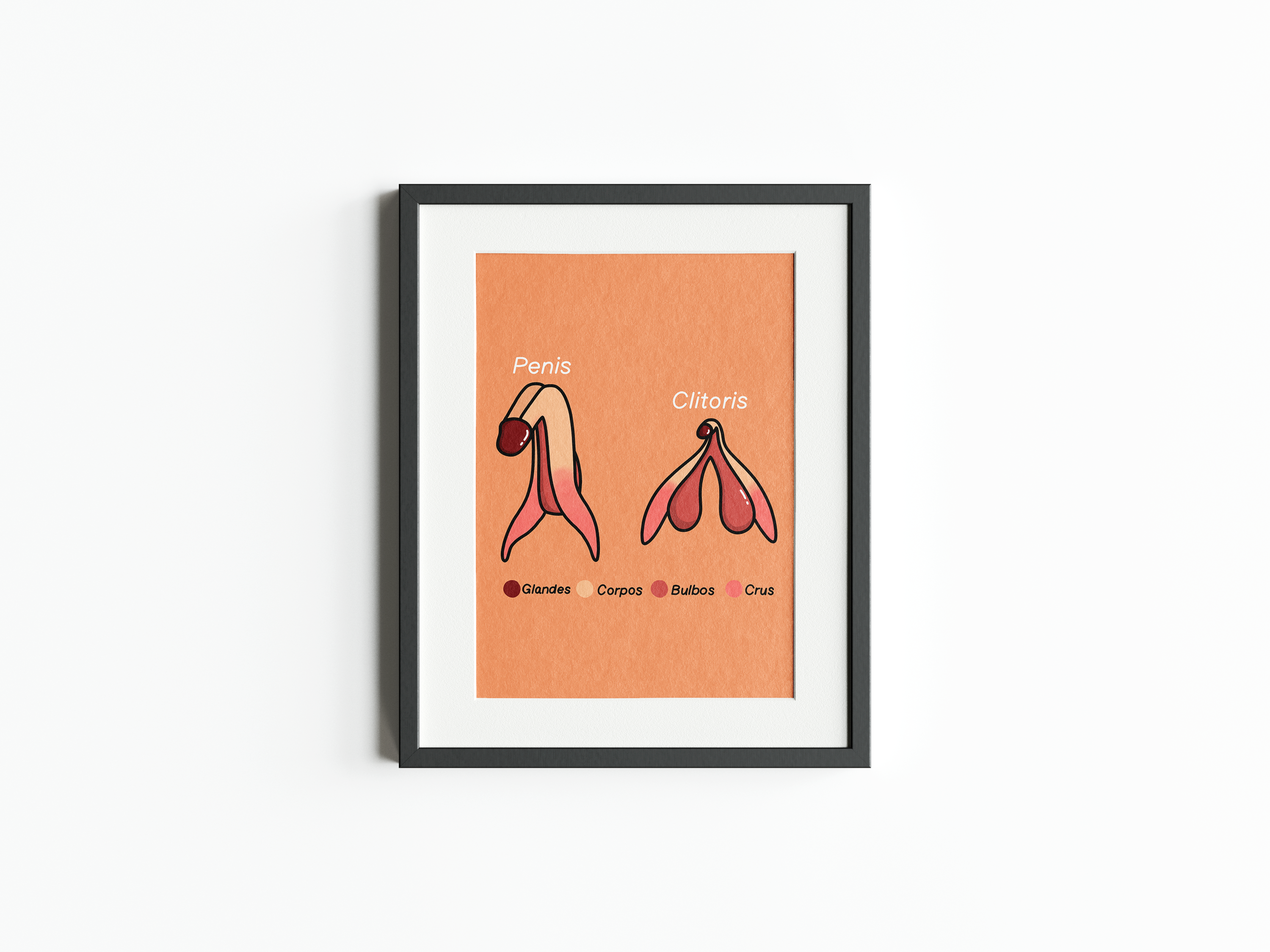 'Clitoris Vs Penis' Sex-Positive Print